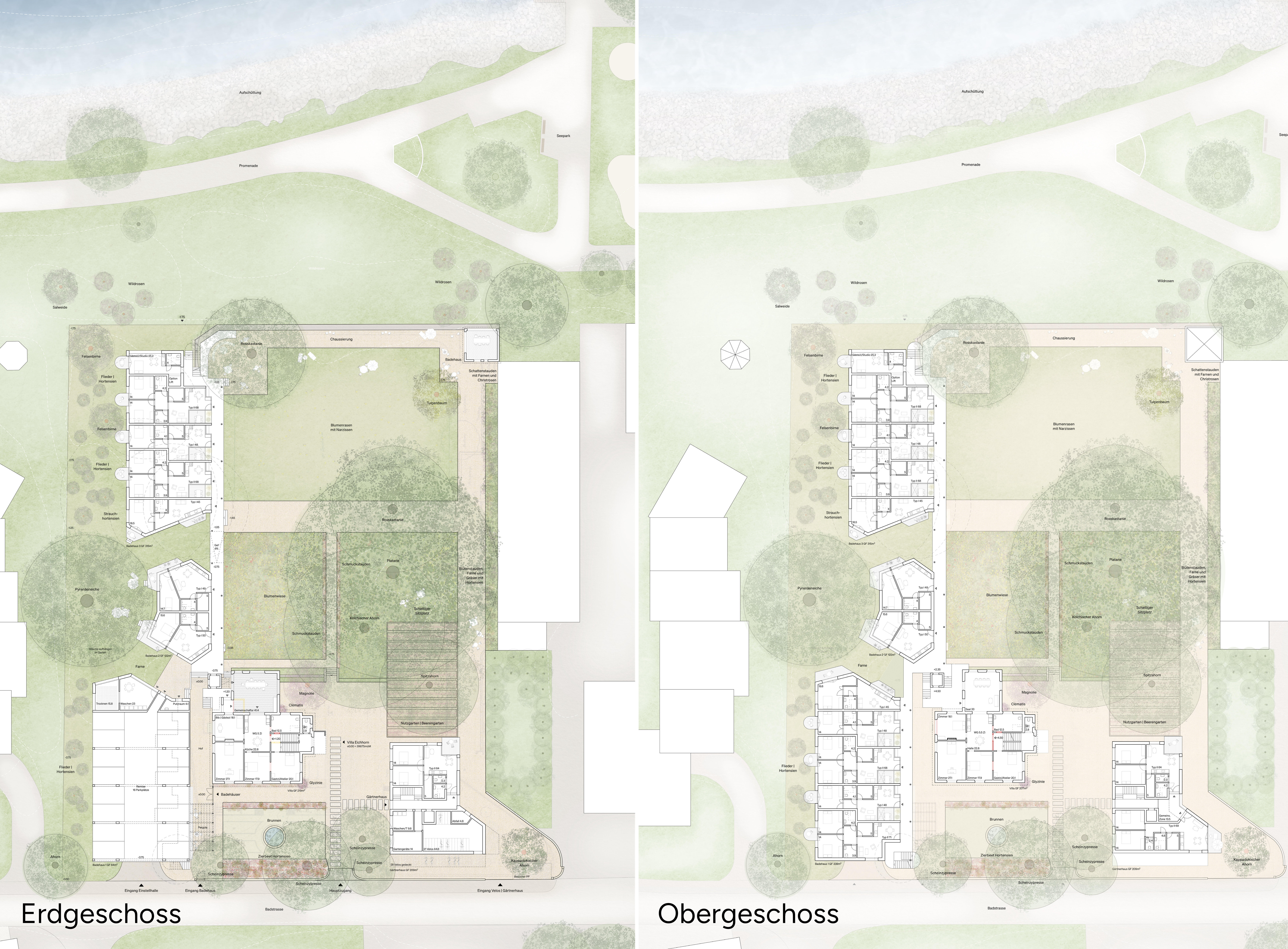 Wohnen im Park - Grundrisse