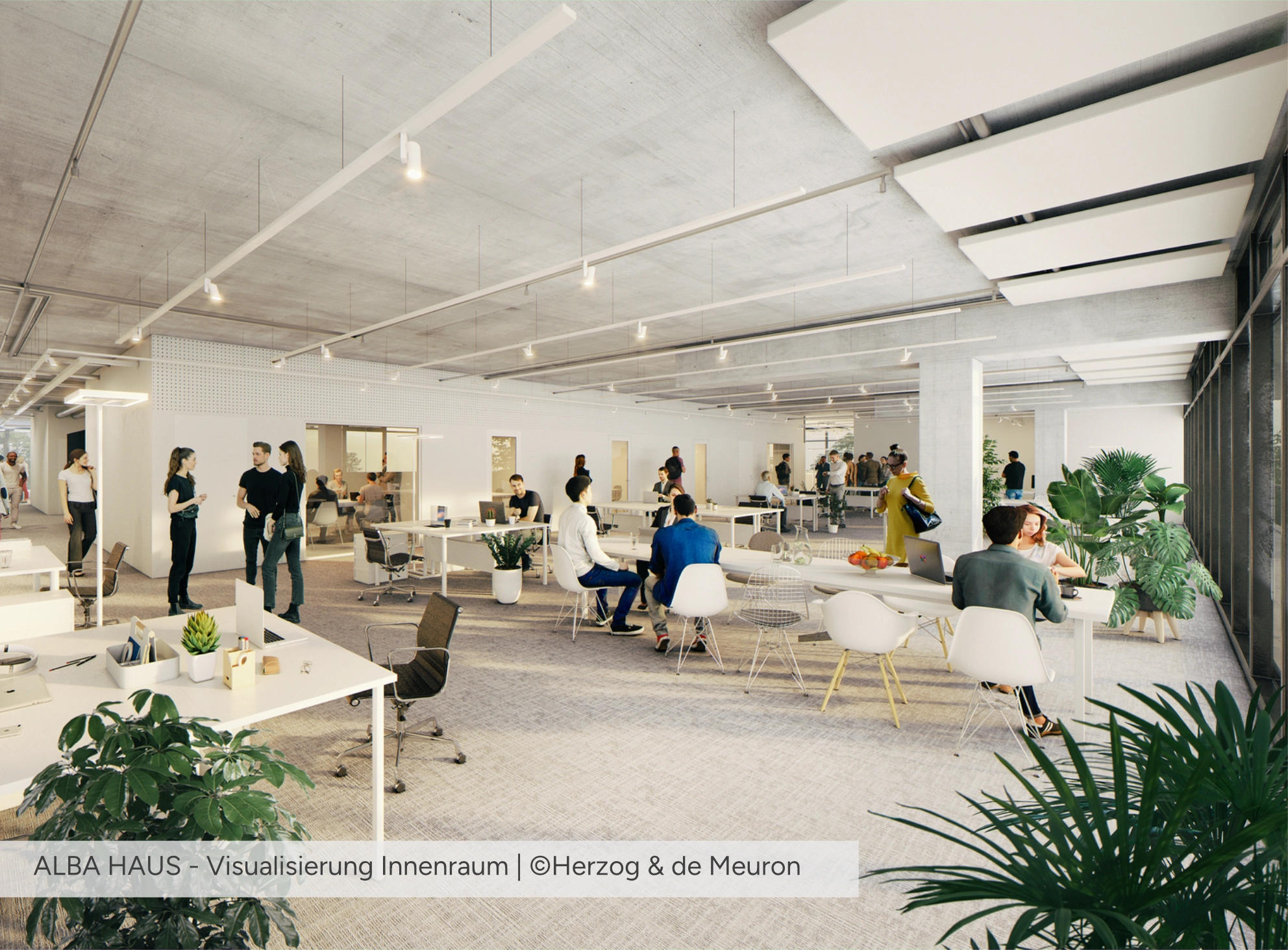 ALBA HAUS - Visualisierung Innenraum
