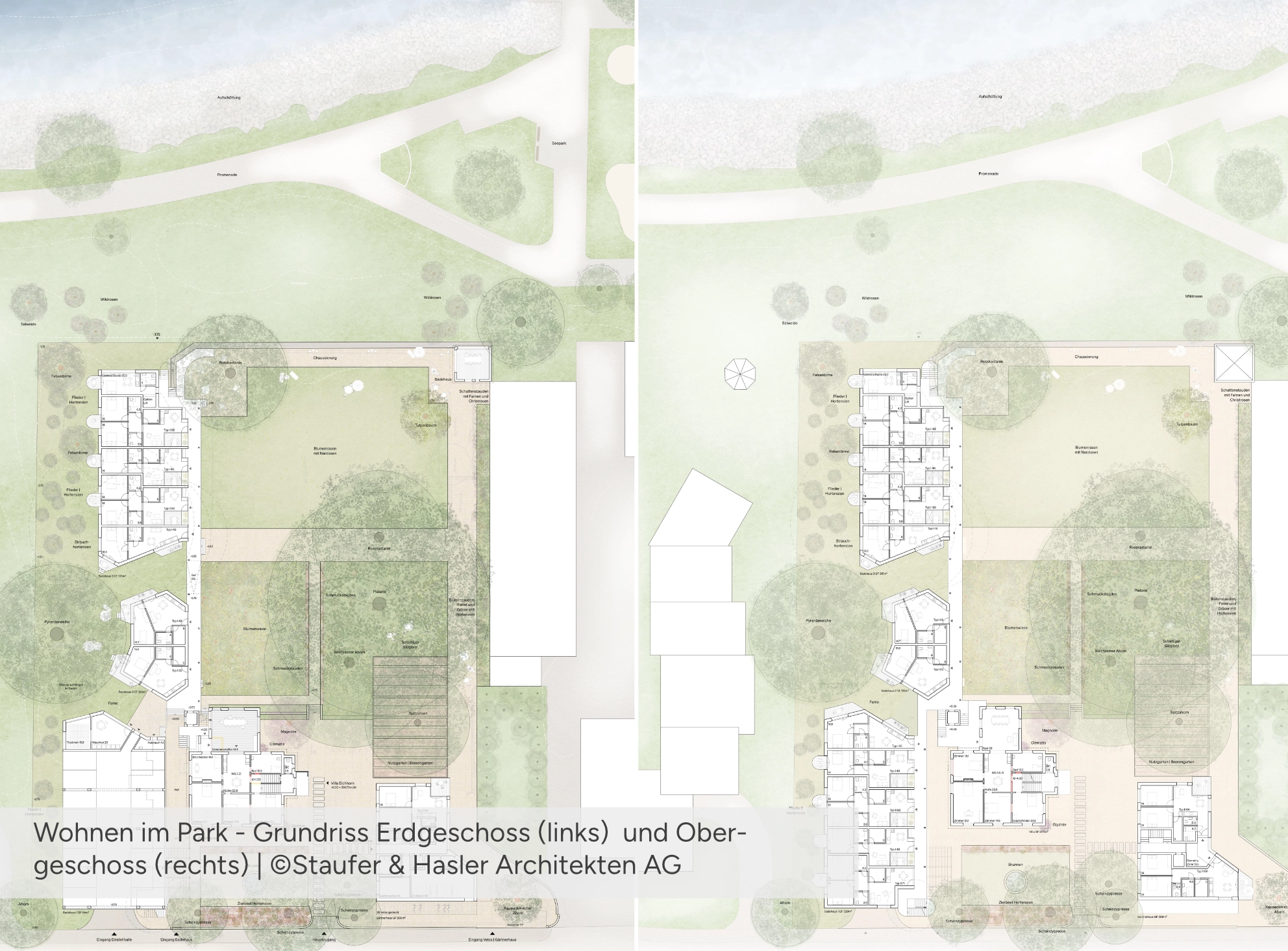 Wohnen im Park - Grundrisse