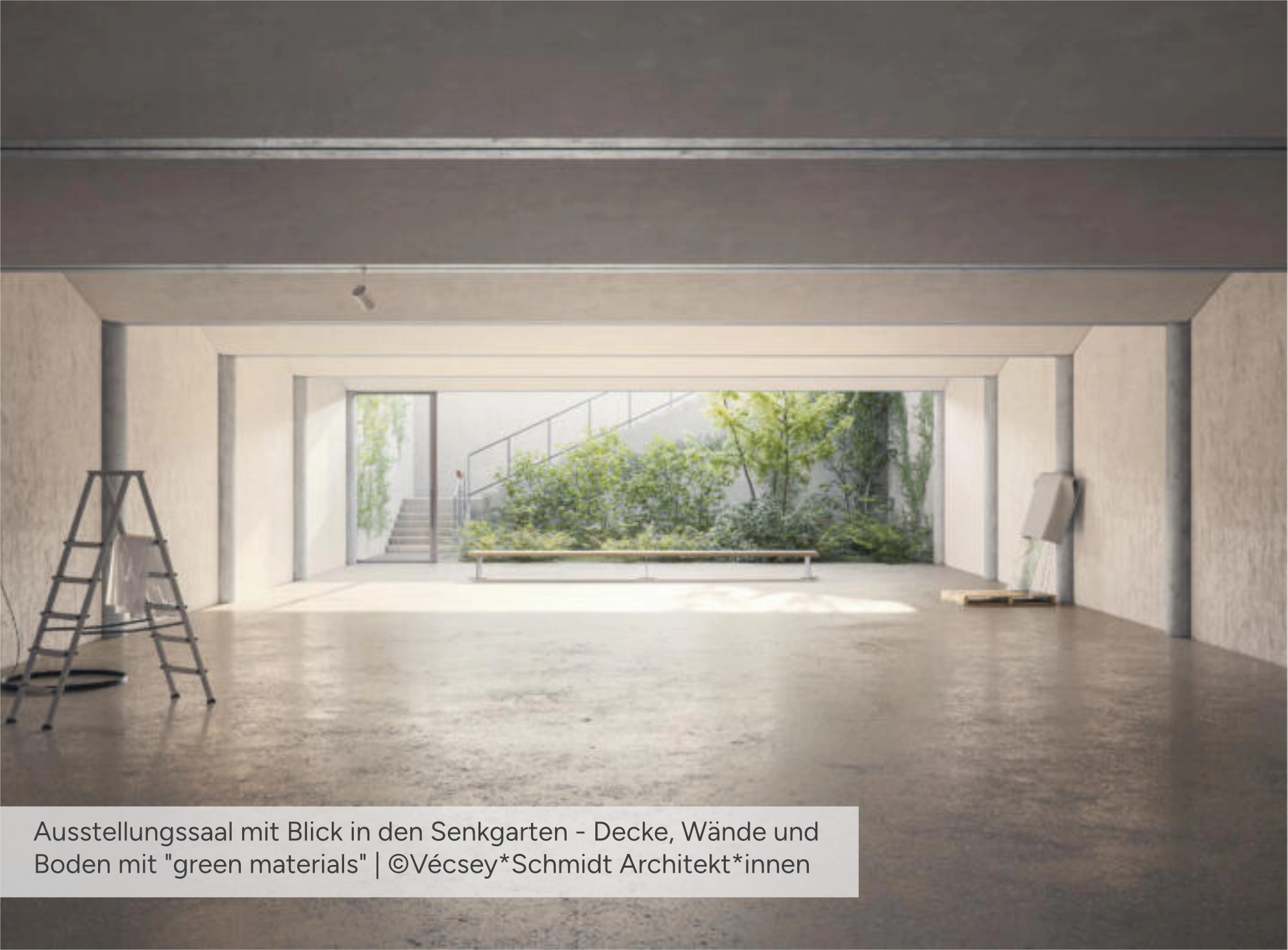 Bündner Naturmuseum - Ausstellungssaal